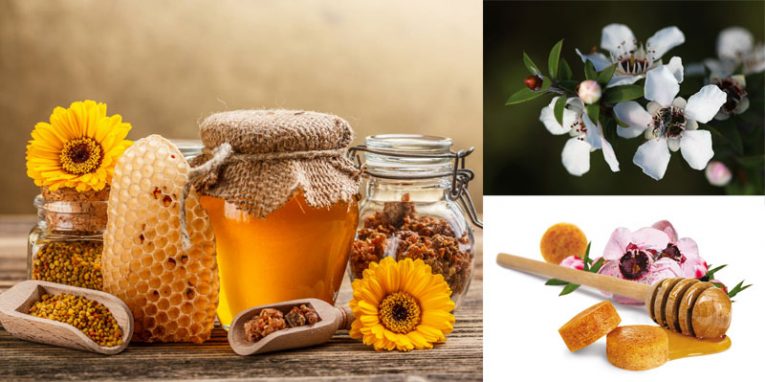 Ce Este Mierea De Manuka Top 10 Beneficii Ale Mierii De Manuka Talyaro